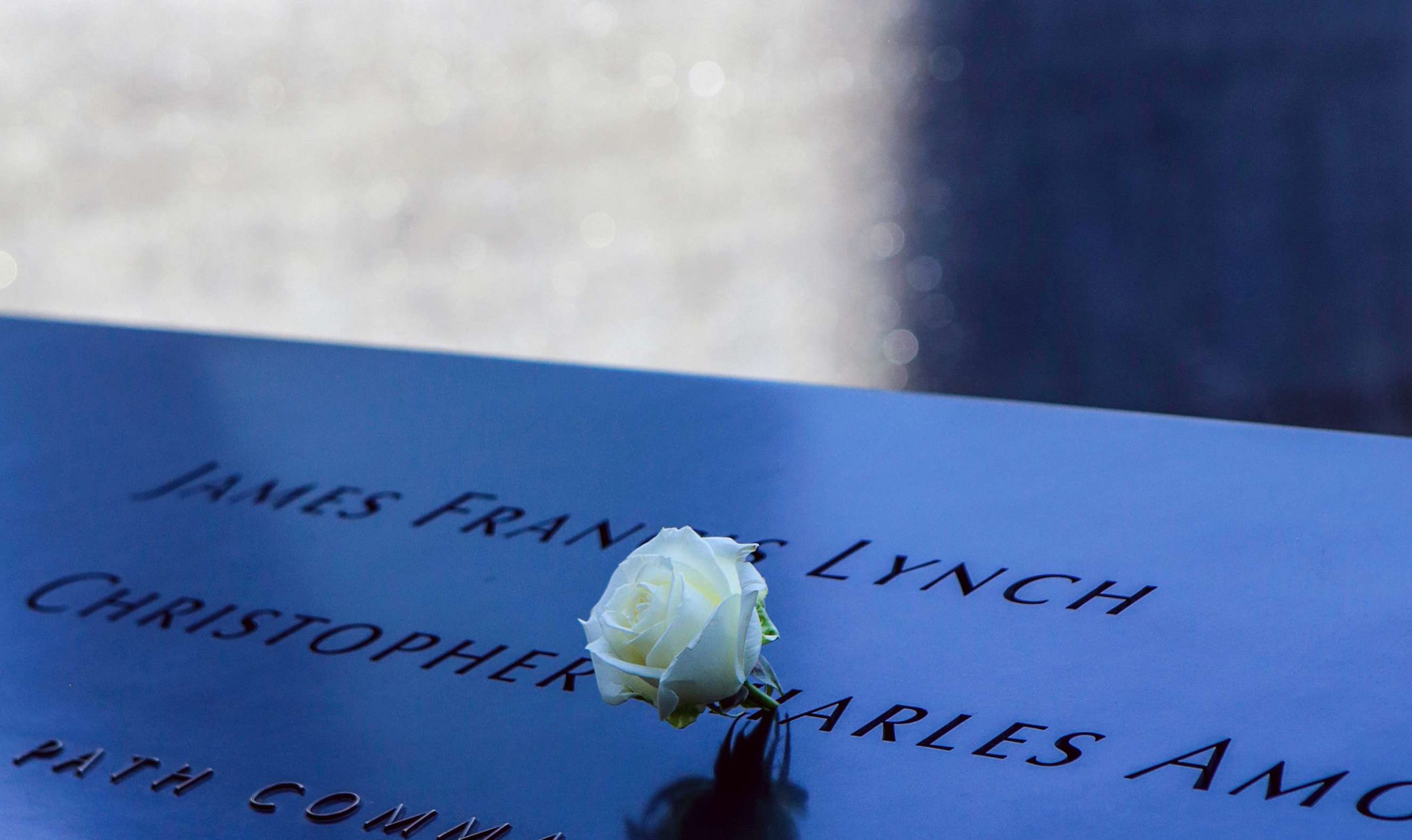 White Roses in 9/11 Memorial