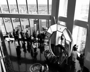 One World Observatory platform